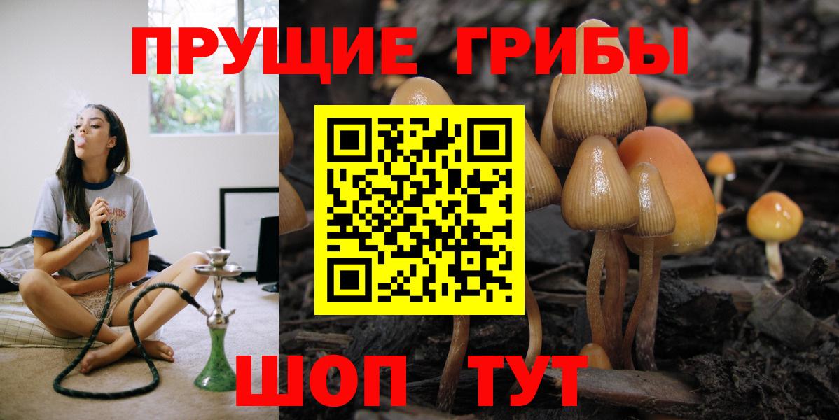 купить закладку  Вход с VPN  Вышний Волочёк  Галлюциногенные грибы мицелий 