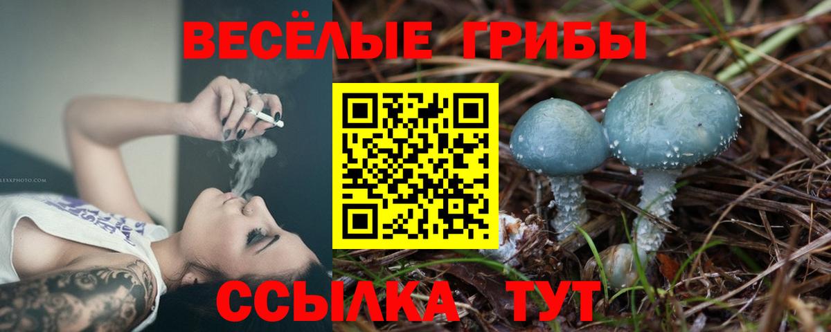 Галлюциногенные грибы Magic Shrooms Вышний Волочёк